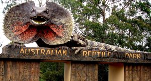 australian reptile park